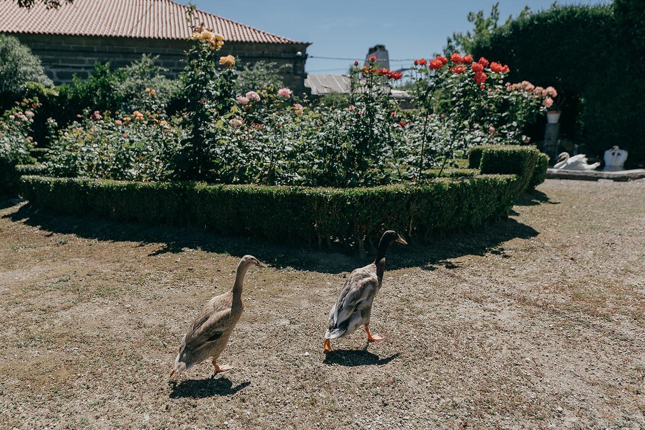 Casa Dos Pombais Bed & Breakfast Guimarães Dış mekan fotoğraf